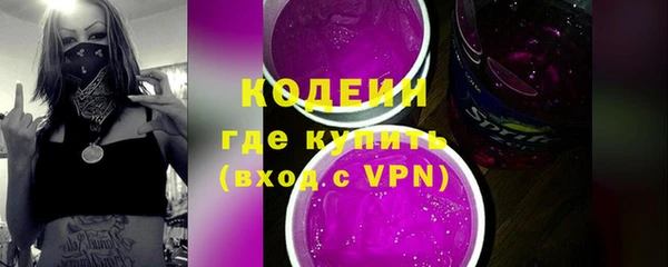 молекула духа Богданович