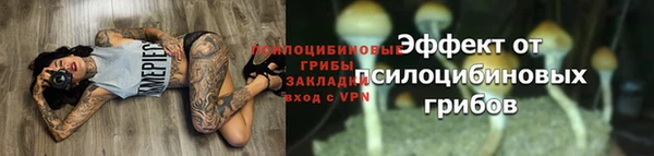 Альфа ПВП Верея