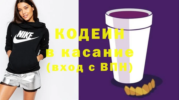 молекула духа Богданович