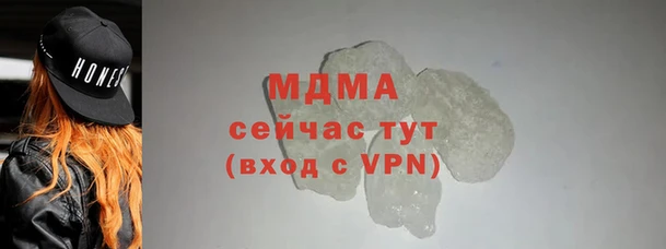молекула духа Богданович