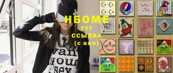 молекула духа Богданович