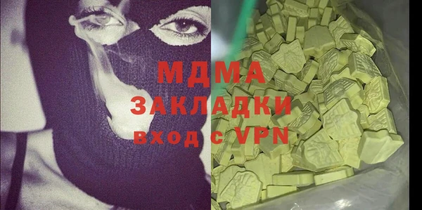 молекула духа Богданович