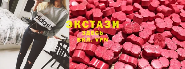 молекула духа Богданович